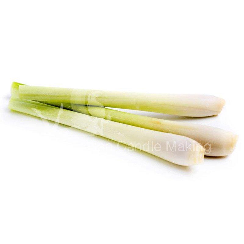 Lemongrass Essential Oil