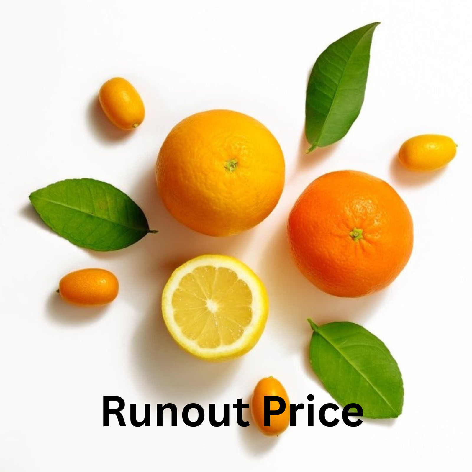 Winter Orange