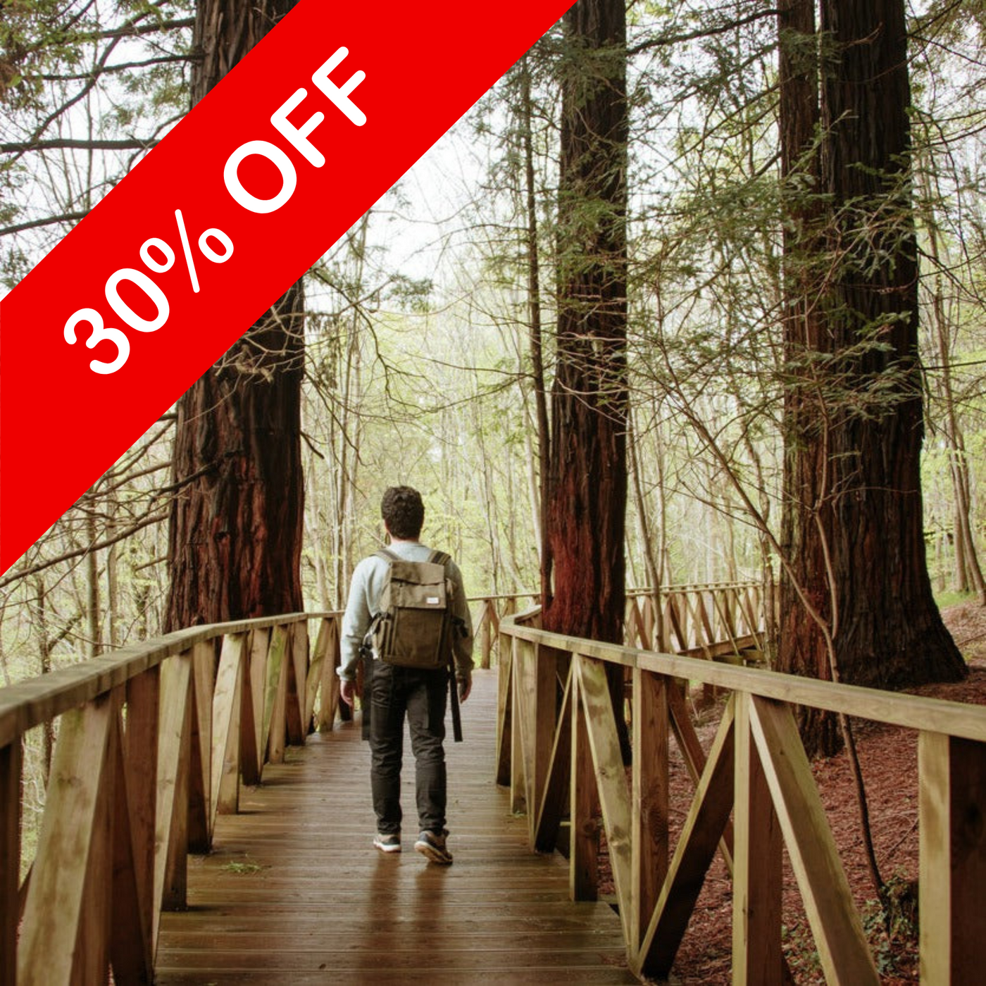 Red Sequoia Fragrance Oil