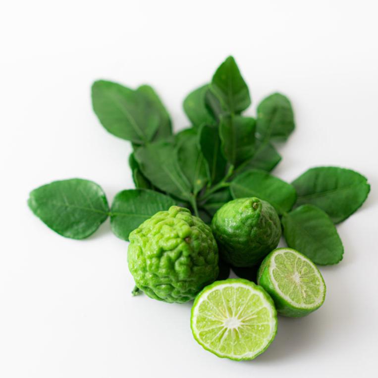 Kaffir Lime & Cocoa Butter