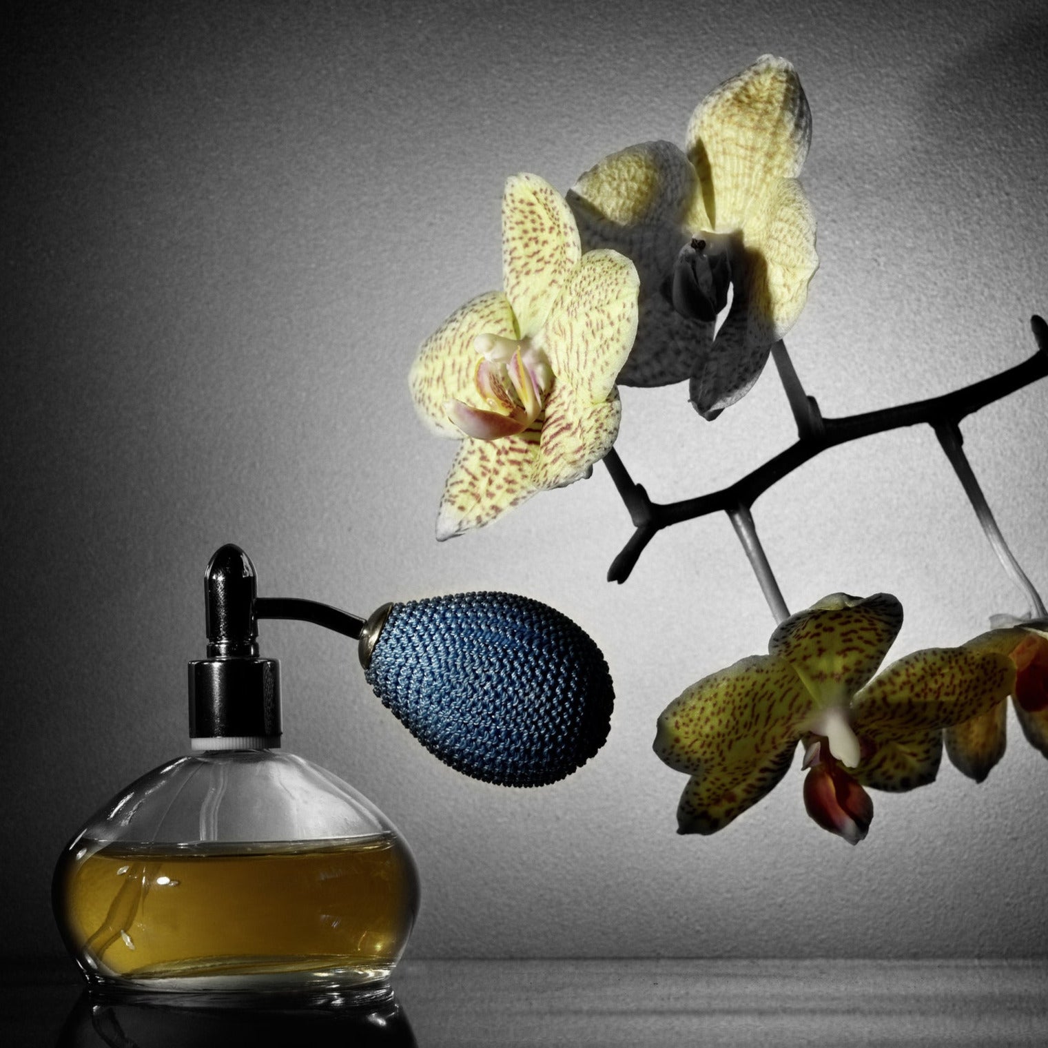 Dark Amber Ginger Lily Fragrance Oil CandleMaking Aust