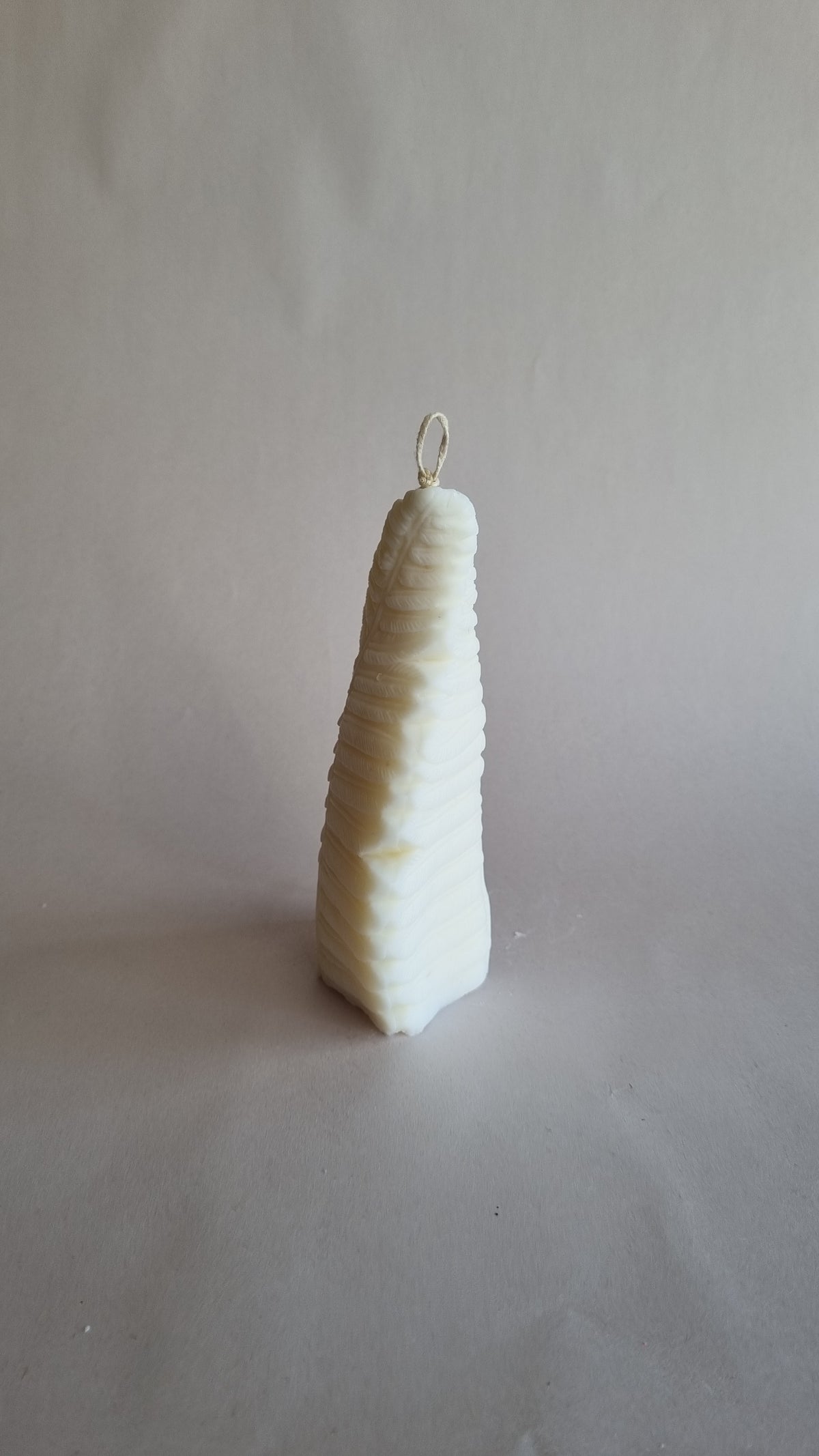 Fern Leaf Silicon Candle Mould