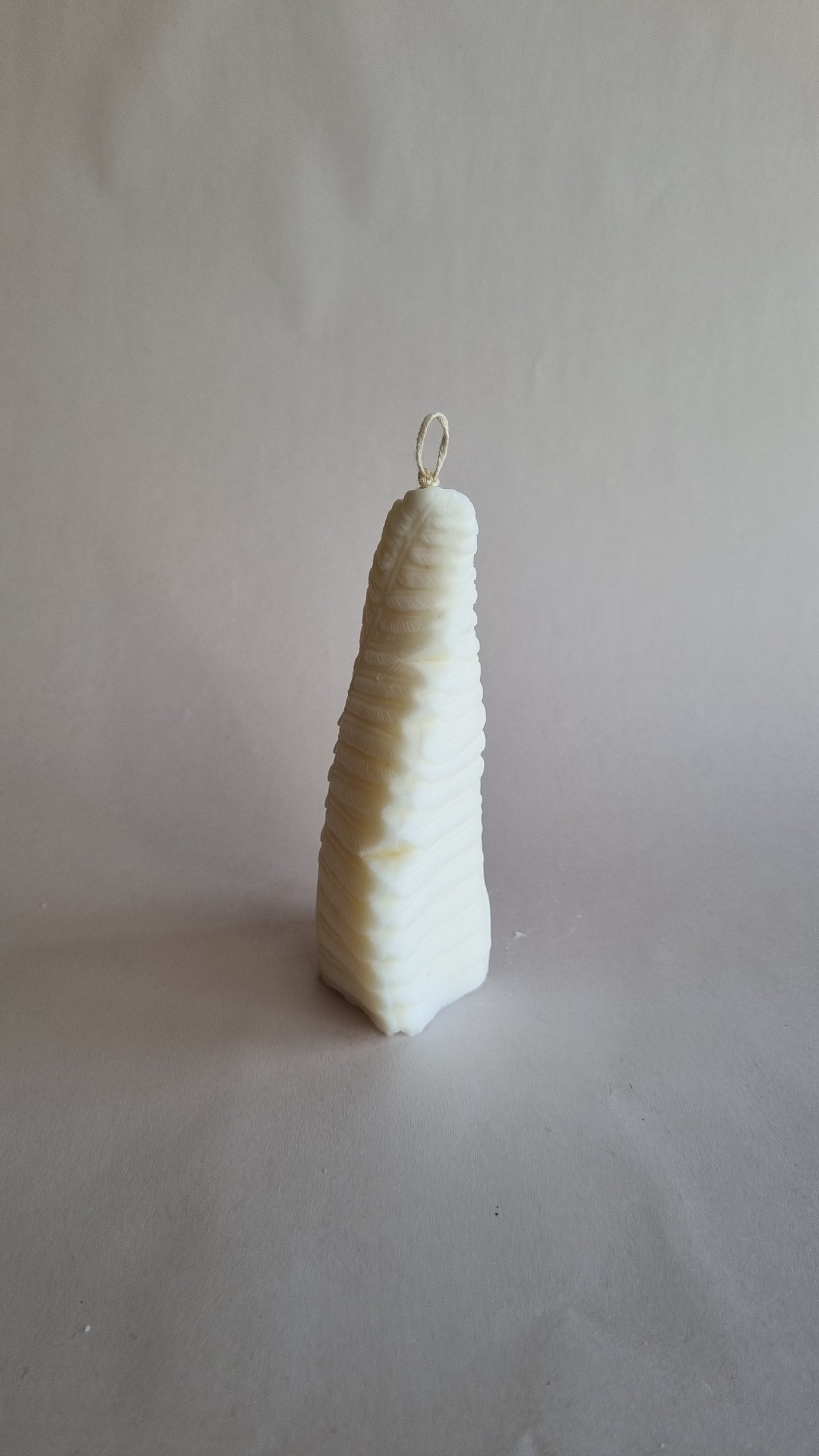 Fern Leaf Silicon Candle Mould