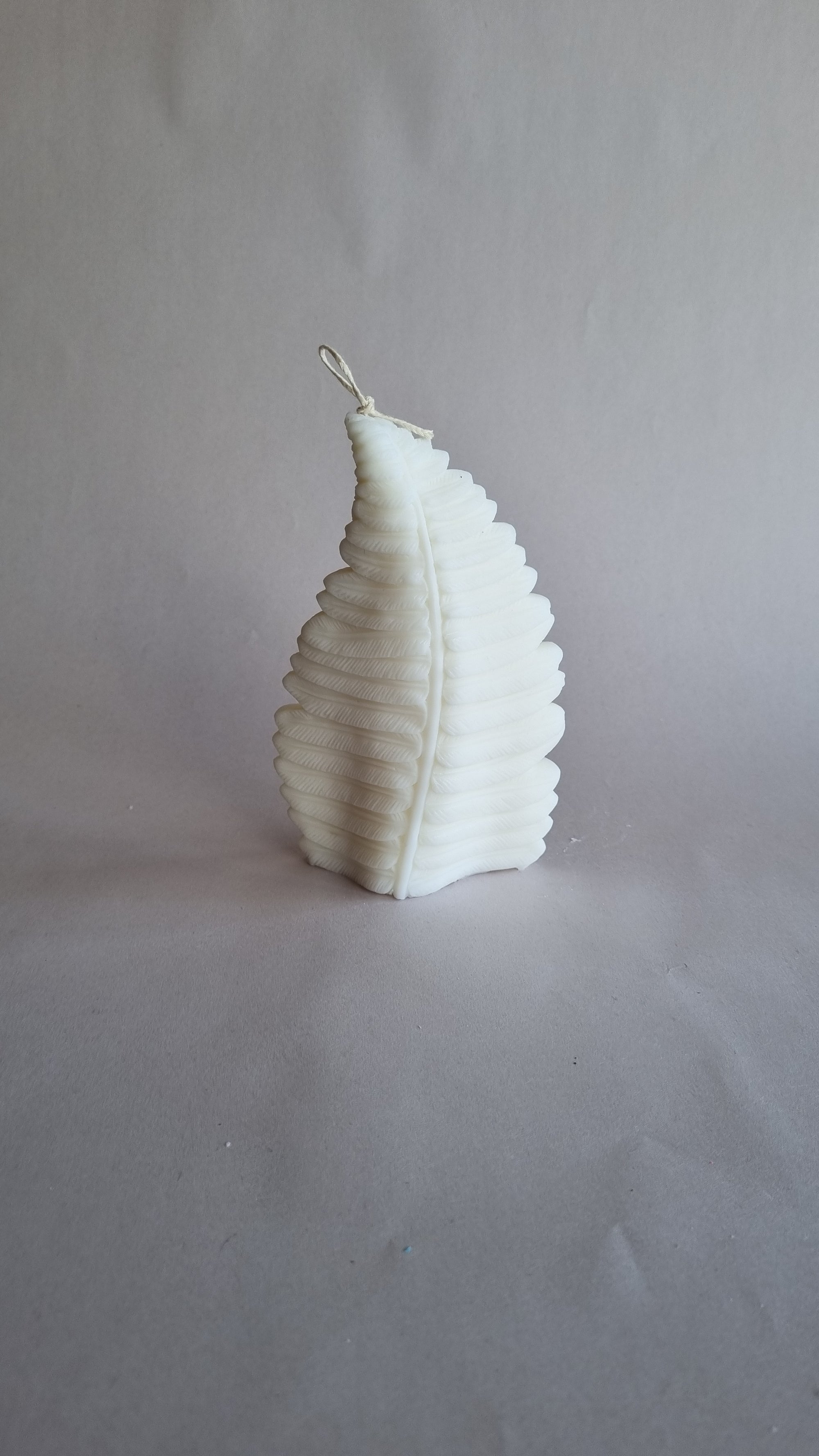 Fern Leaf Silicon Candle Mould