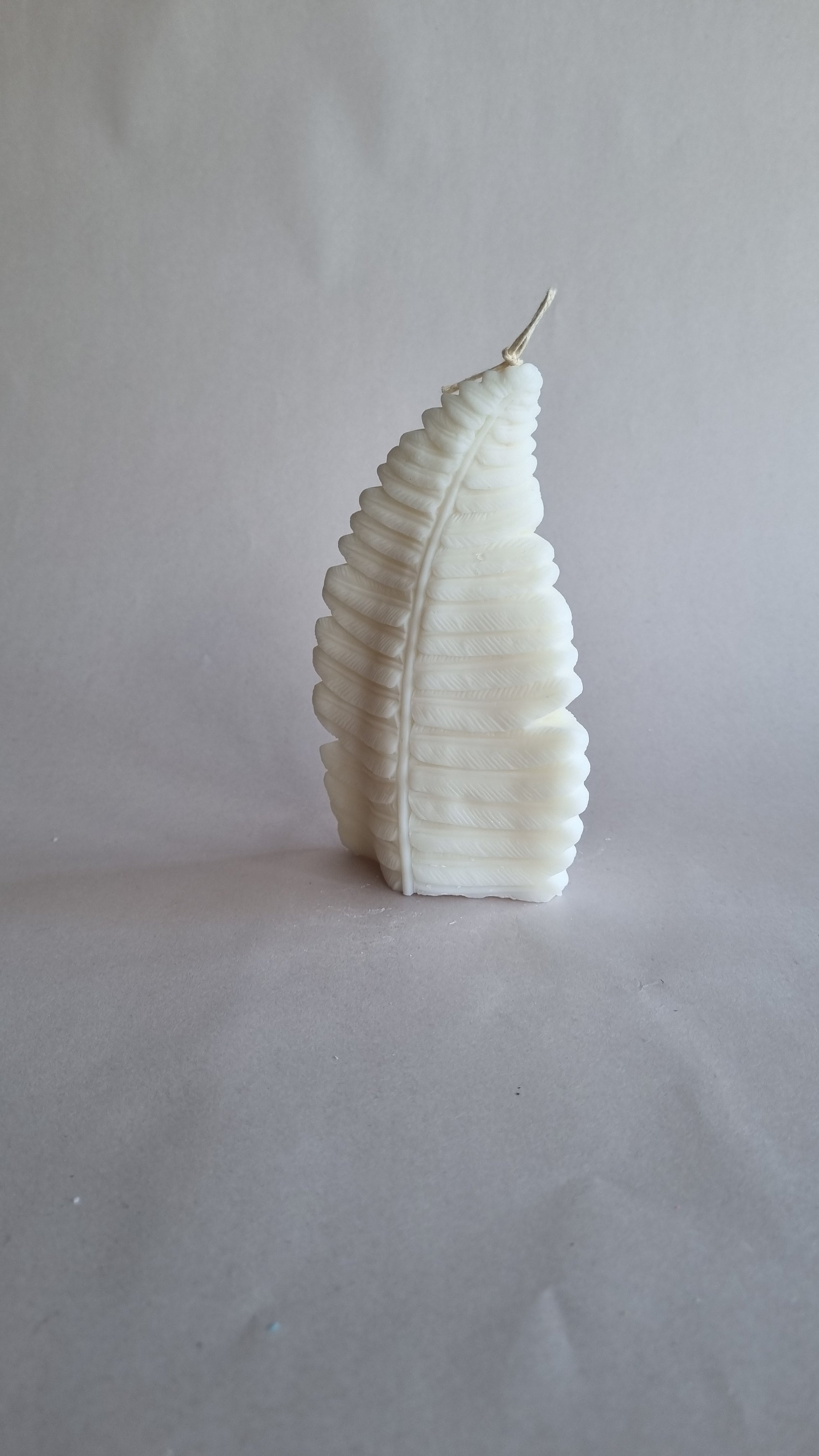 Fern Leaf Silicon Candle Mould