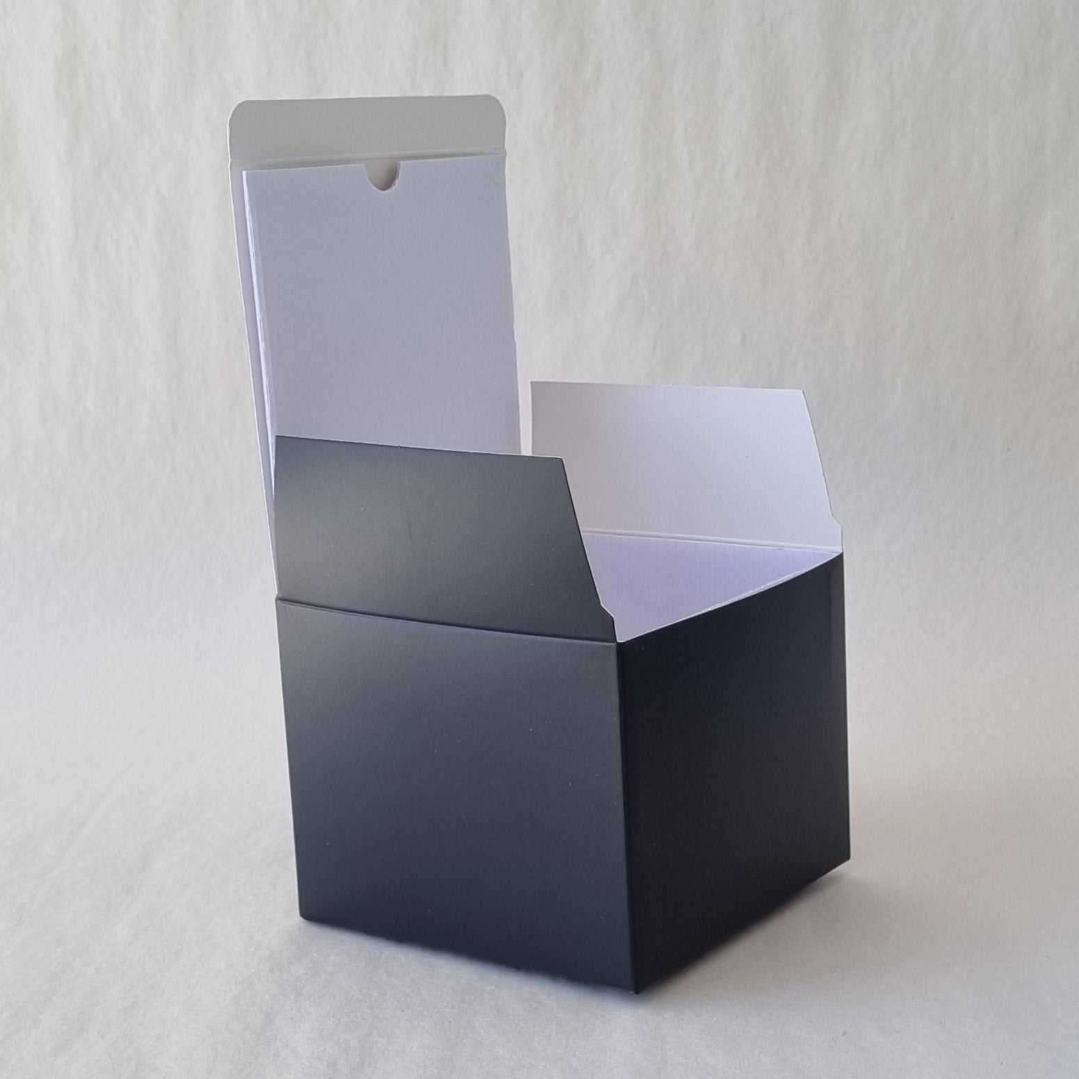 Black Box - Extra Large Short