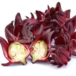 Wild Rosella Fragrance Oil