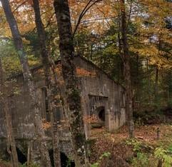 Log Cabin  Candle Fragrance