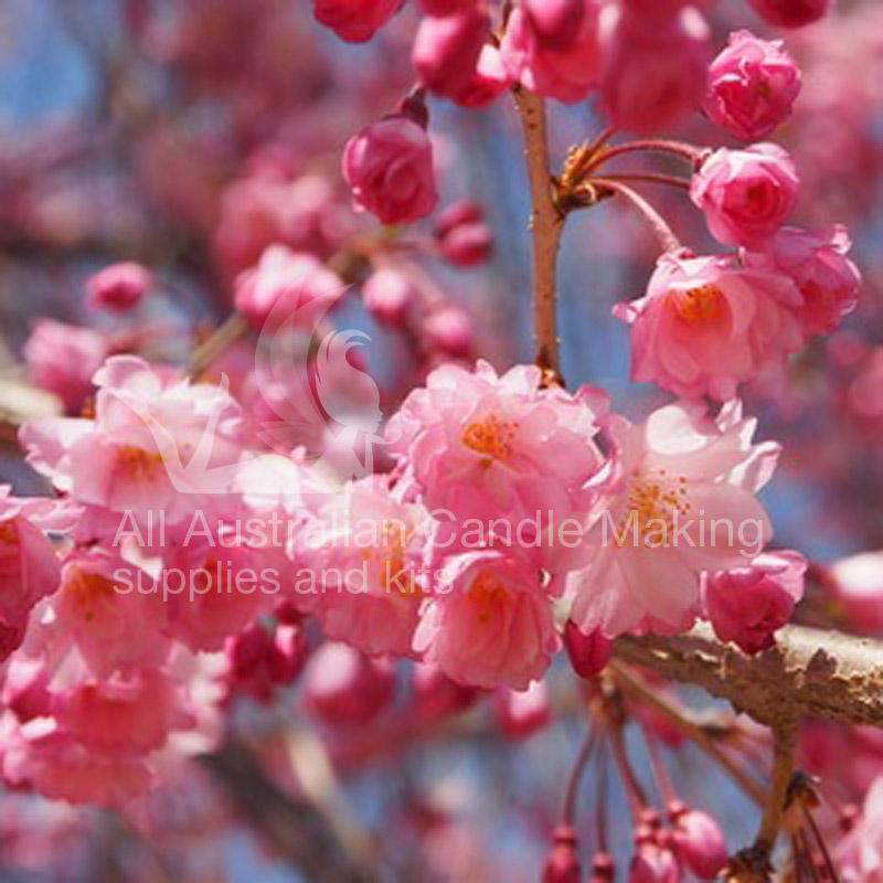 Cherry Blossom Fragrance Oil