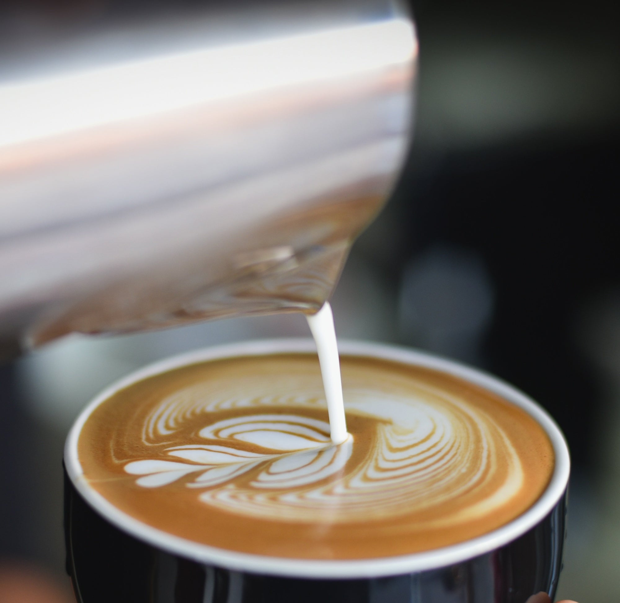 Coffee Roast Fragrance Oil - NEW formulation