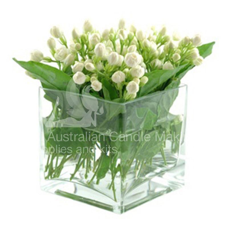 Jasmine Fragrance Oil