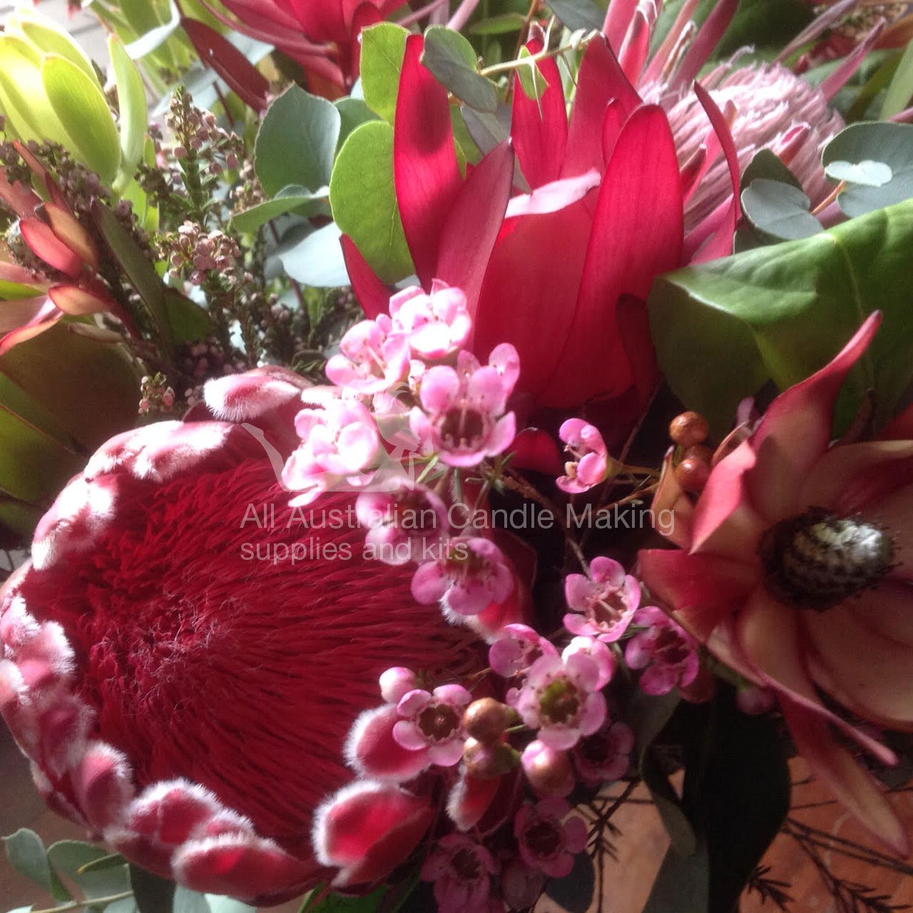 Bush Walk Candle Fragrance Oil