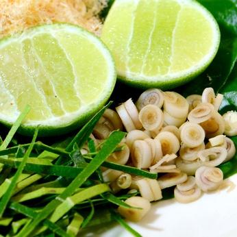 Twisted Lemongrass Essential Oil - Runout