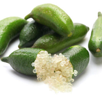 Finger Lime Fragrance Oil
