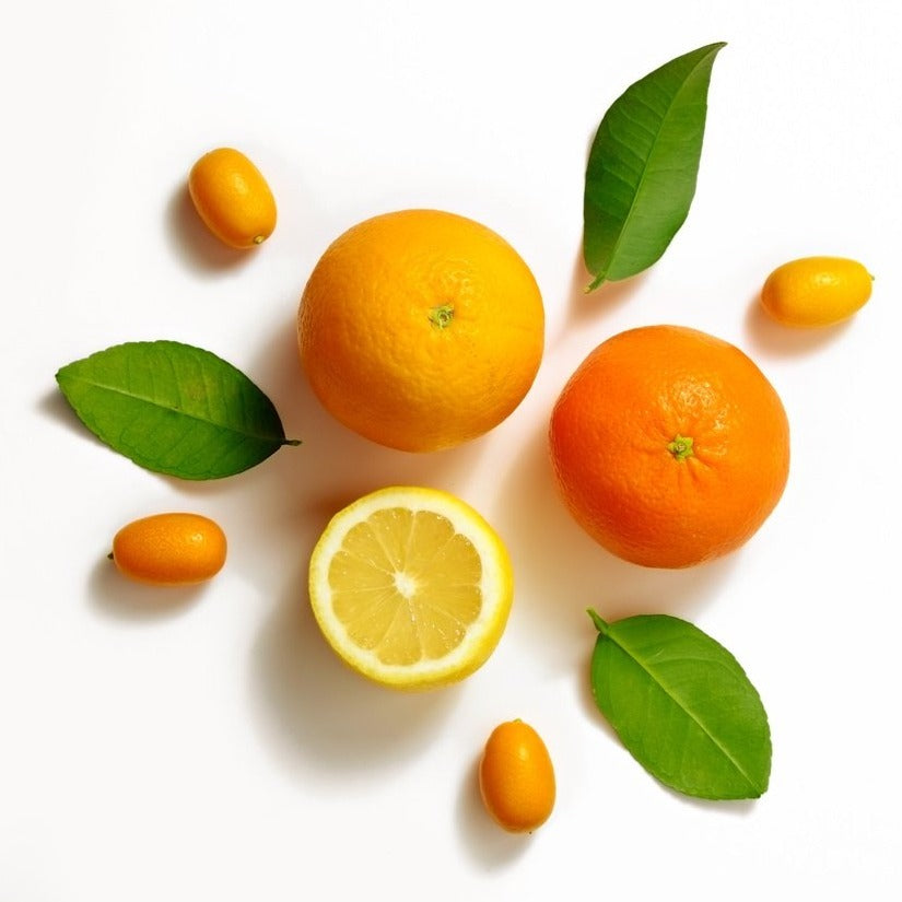 Winter Orange Fragrance Oil