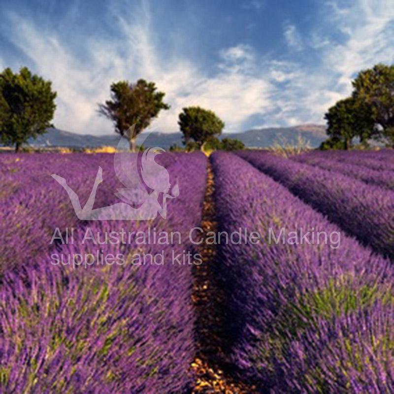 Lavender Fragrance Oil