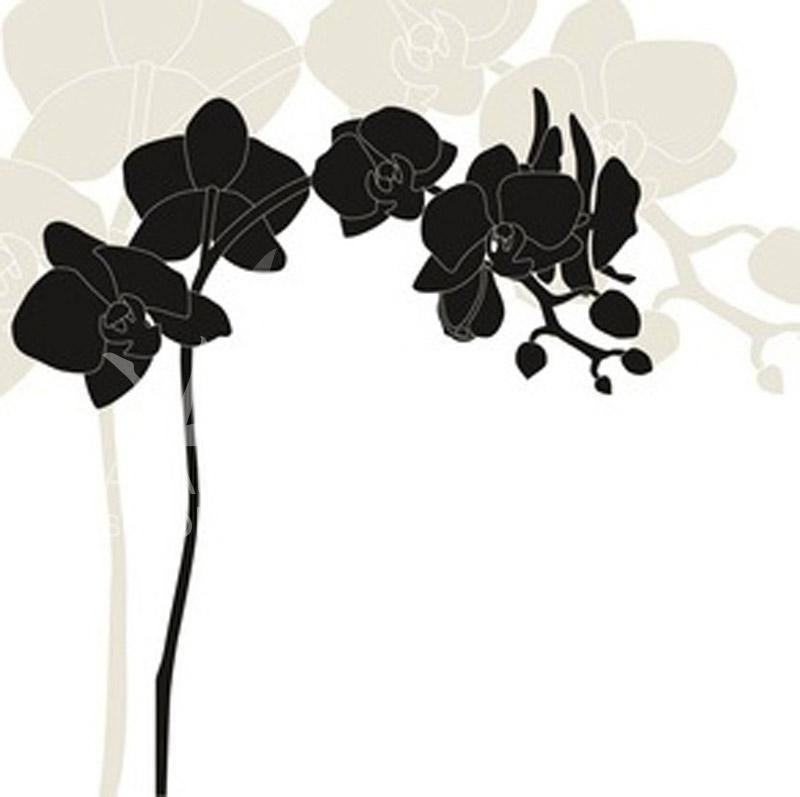 Black Orchid Fragrance