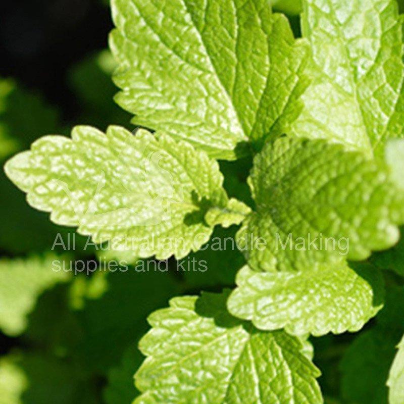 Citronella Essential Oil