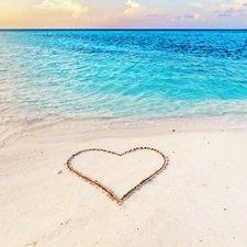 Love x Love Fragrance Oil