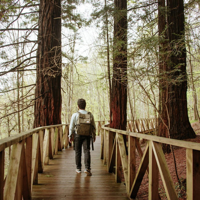 Red Sequoia Fragrance Oil
