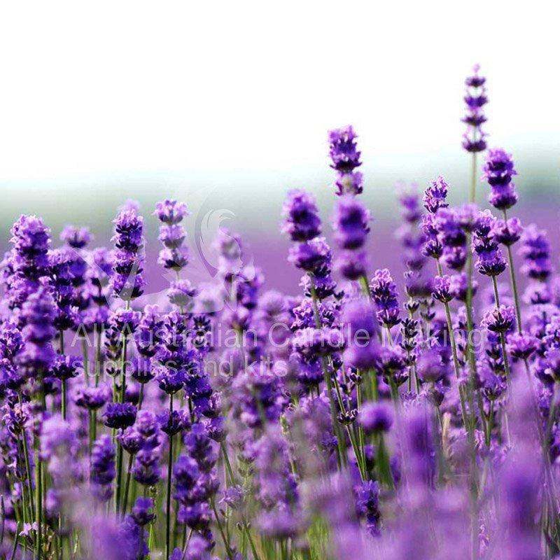Lavender Essential Oil