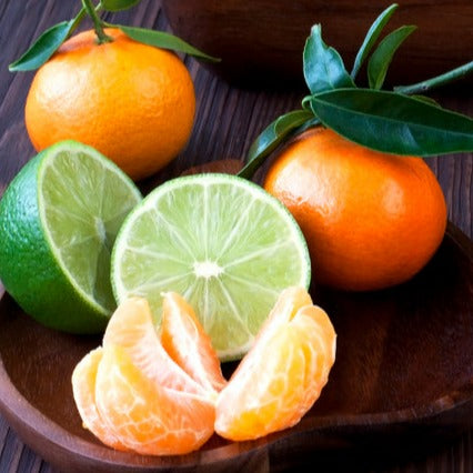 Lime Basil and Mandarin Fragrance