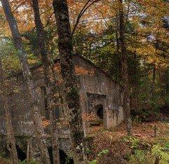 Log Cabin  Candle Fragrance
