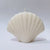Shell   PVC Candle Mould