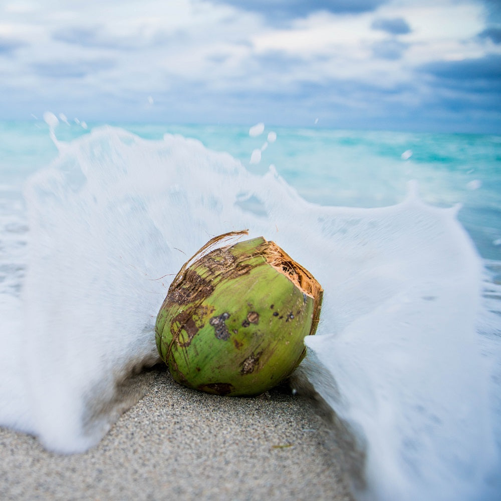 Lime &amp; Coconut