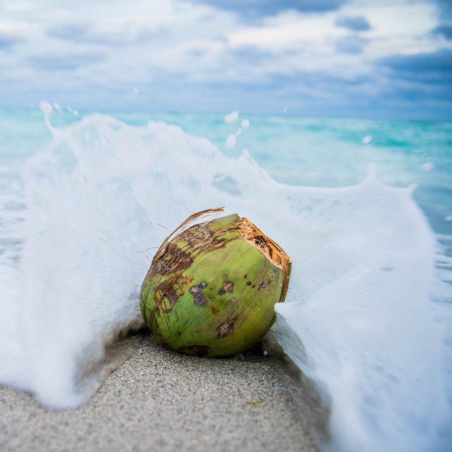 Summer-time Lime & Coconut Fragrance Oil