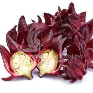 Wild Rosella Fragrance Oil